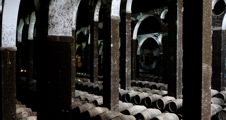 visita-a-las-bodegas-barbadillo-y-cata-experiencias-sanlucar-de-barrameda-10