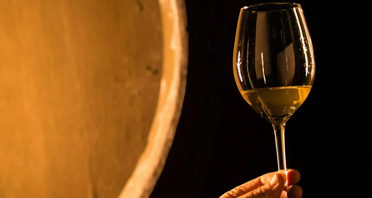 visita-a-las-bodegas-barbadillo-y-cata-experiencias-sanlucar-de-barrameda-5