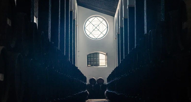 visita-a-las-bodegas-barbadillo-y-cata-experiencias-sanlucar-de-barrameda-8