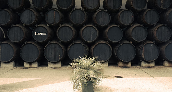 visita-a-las-bodegas-barbadillo-y-cata-experiencias-sanlucar-de-barrameda-9