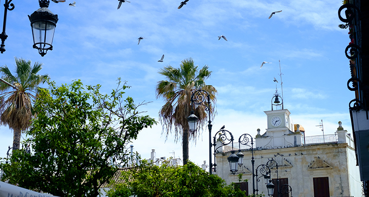 visita-guiada-a-pie-ciudad-experiencias-sanlucar-de-barrameda-1