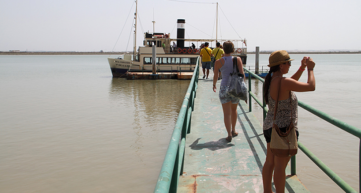 visita-parque-nacional-de-donana-en-buque-real-san-fernando-experiencias-sanlucar-de-barrameda-2