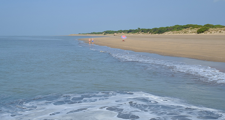picnic-sanlucar-de-barrameda-2