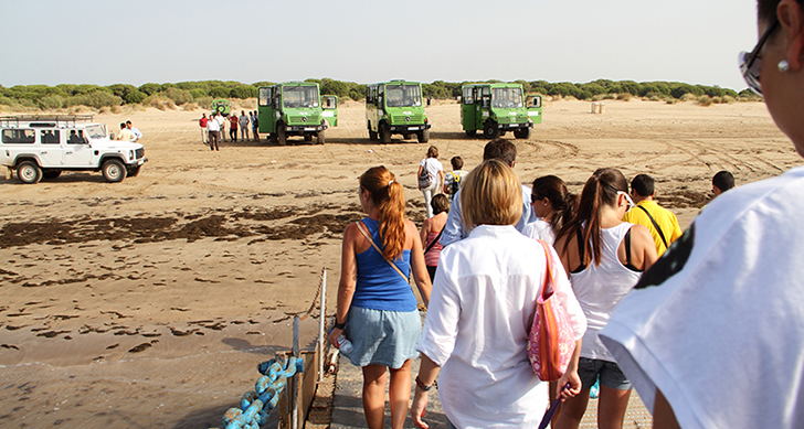 visita-al-parque-nacional-donana-4x4-experiencias-sanlucar-de-barrameda-1