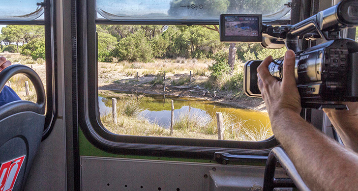 visita-al-parque-nacional-donana-4x4-experiencias-sanlucar-de-barrameda-6