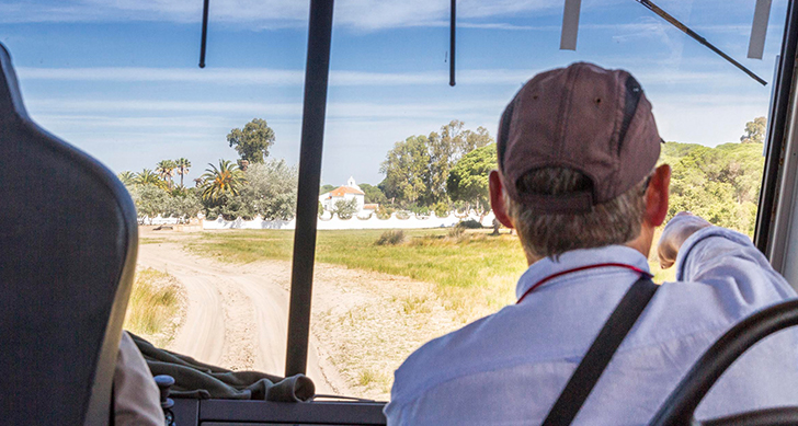 visita-al-parque-nacional-donana-4x4-experiencias-sanlucar-de-barrameda-7
