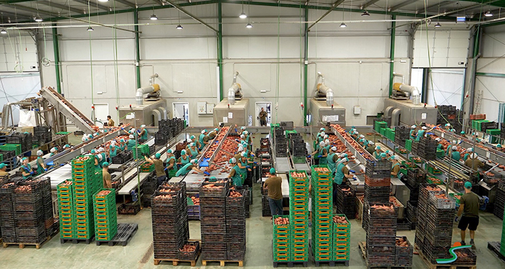 visita-cooperativa-agricola-de-frutas-y-verduras-experiencias-sanlucar-de-barrameda-6