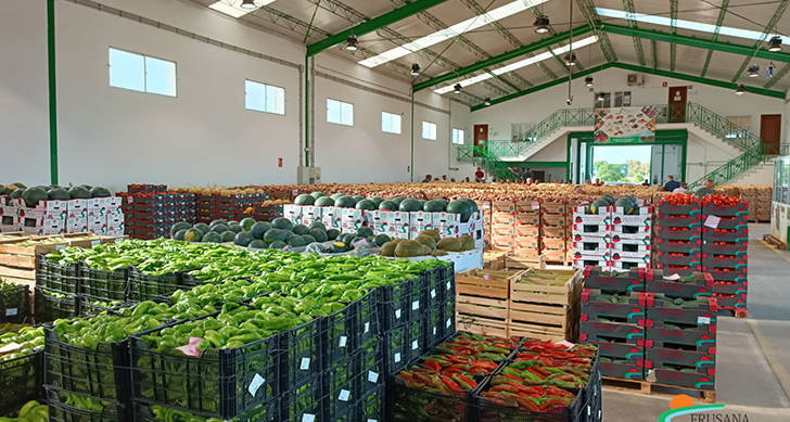 visita-cooperativa-agricola-de-frutas-y-verduras-experiencias-sanlucar-de-barrameda-7