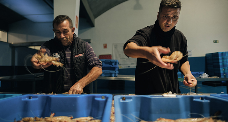 visita-lonja-y-subasta-de-pescados-experiencias-sanlucar-de-barrameda-4