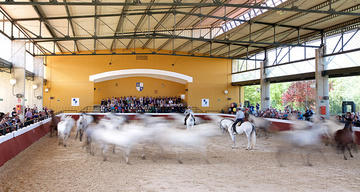 visita-yeguada-cartuja-experiencias-sanlucar-de-barrameda-1