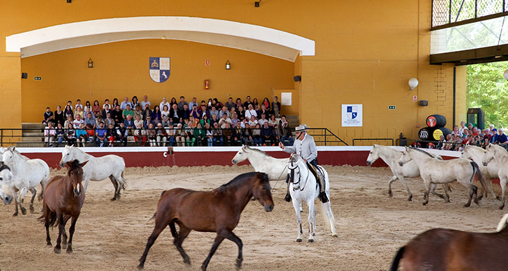 visita-yeguada-cartuja-experiencias-sanlucar-de-barrameda-4